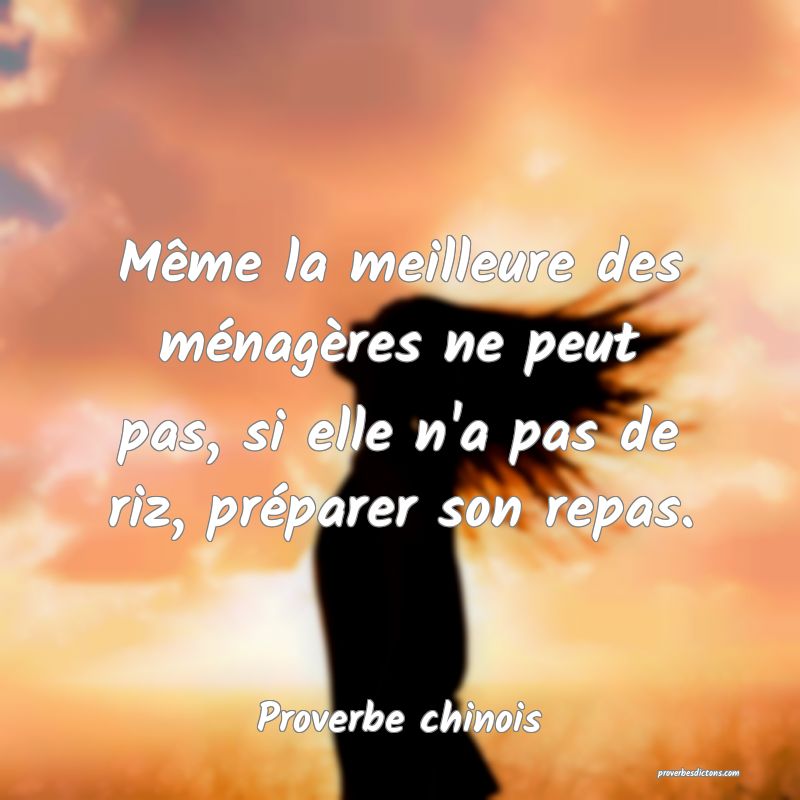 Même la meilleure des ménagères ne peut pas, si elle n'a pas de riz, préparer son repas.