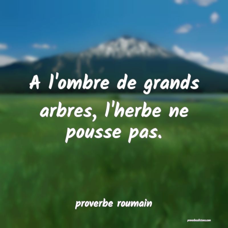  A l'ombre de grands arbres, l'herbe ne pousse pas.
