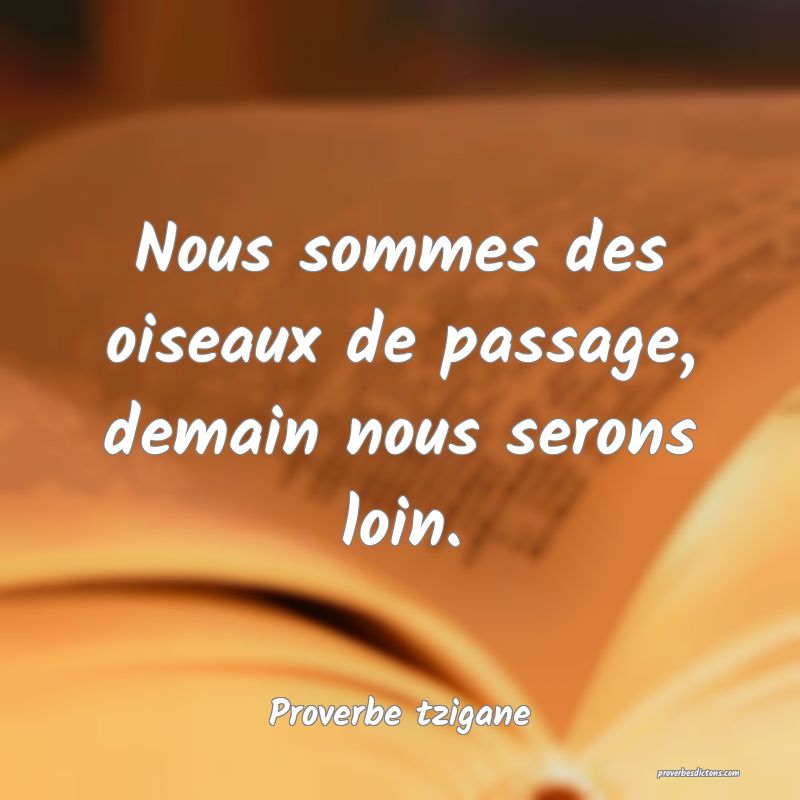 Nous sommes des oiseaux de passage, demain nous serons loin.