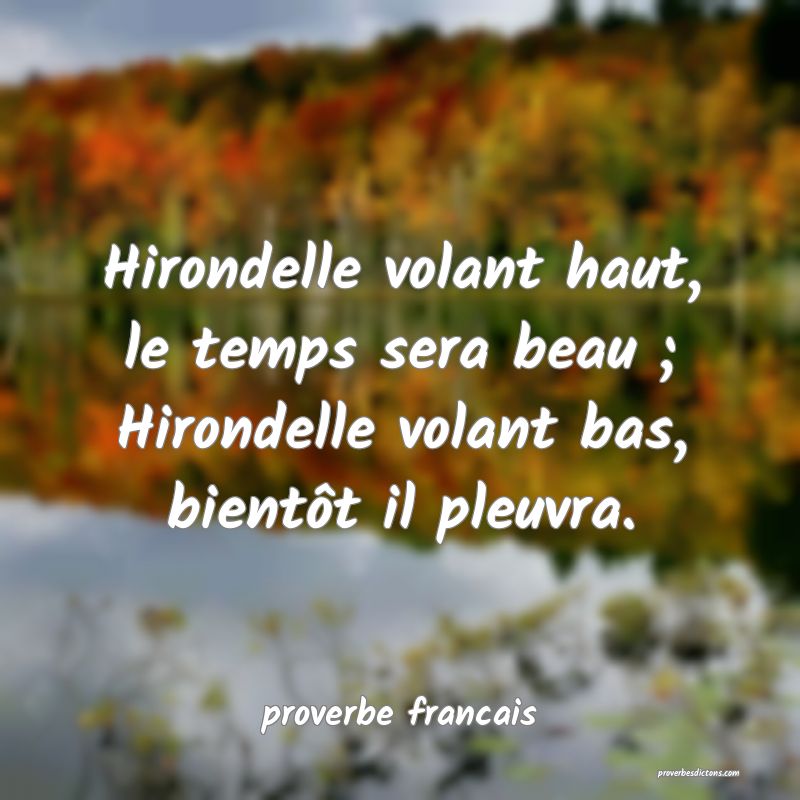 Hirondelle volant haut, le temps sera beau ; Hirondelle volant bas, bientôt il pleuvra.