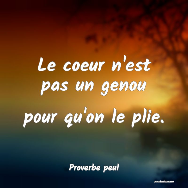 Le coeur n'est pas un genou pour qu'on le plie.