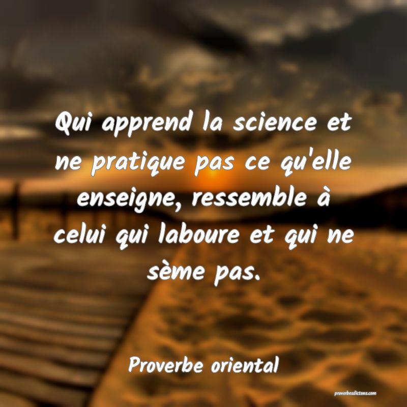 Qui apprend la science et ne pratique pas ce qu'elle enseigne, ressemble à celui qui laboure et qui ne sème pas.