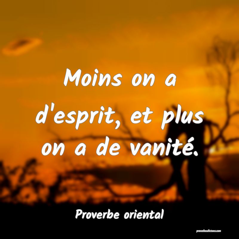 Moins on a d'esprit, et plus on a de vanité.