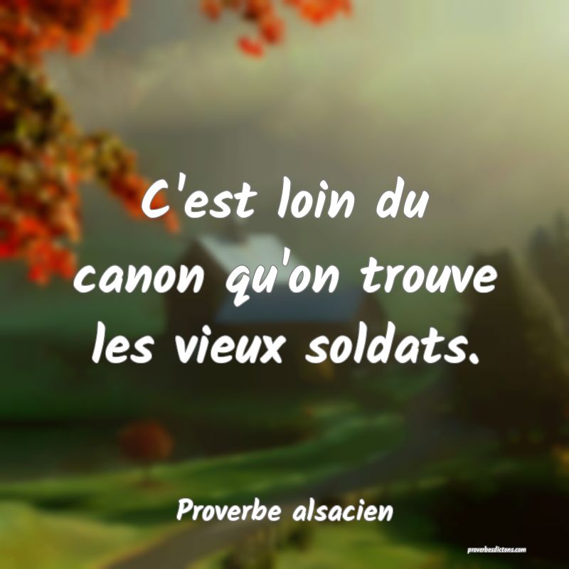 C'est loin du canon qu'on trouve les vieux soldats.
