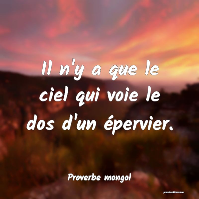 Il n'y a que le ciel qui voie le dos d'un épervier.