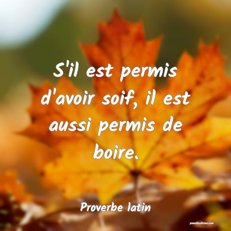 S'il est permis d'avoir soif, il est aussi permis de boire.