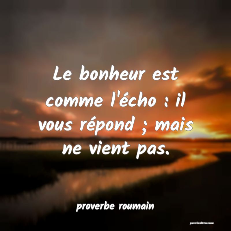 Le bonheur est comme l'écho : il vous répond ; mais ne vient pas.