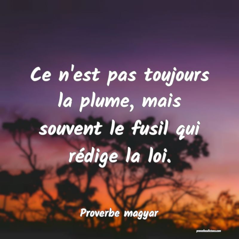 Ce n'est pas toujours la plume, mais souvent le fusil qui rédige la loi.