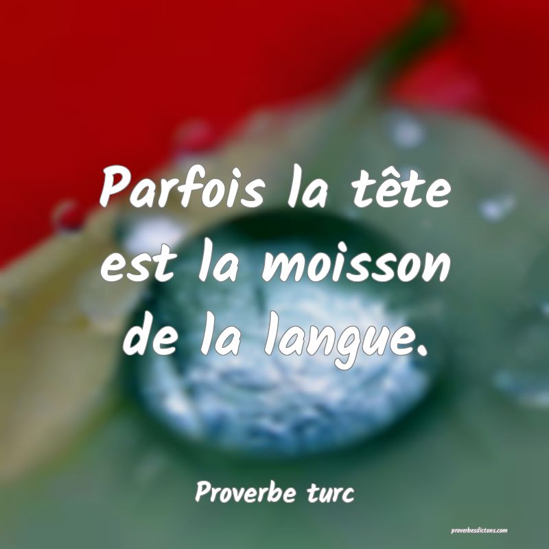 Parfois la tête est la moisson de la langue.