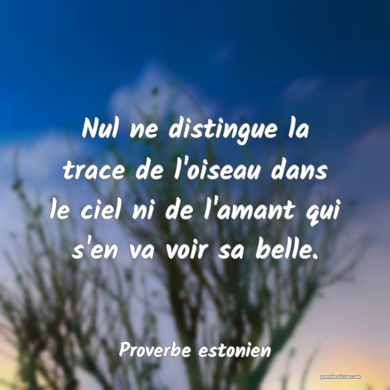 Nul ne distingue la trace de l'oiseau dans le ciel ni de l'amant qui s'en va voir sa belle.