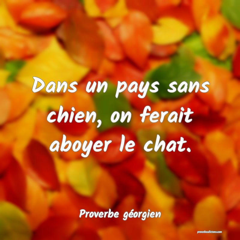 Dans un pays sans chien, on ferait aboyer le chat.