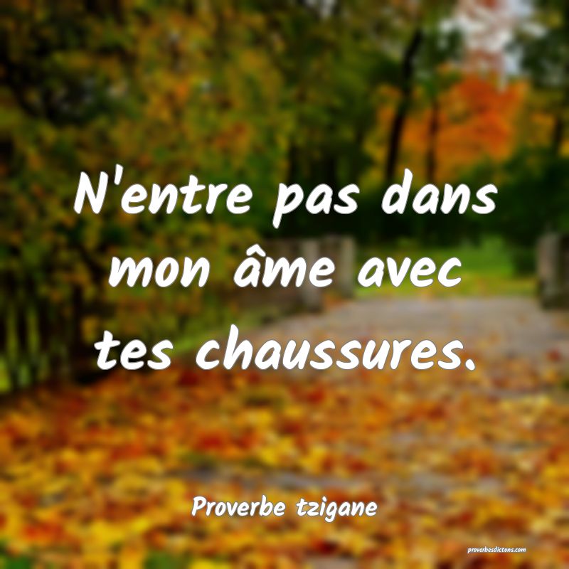 N'entre pas dans mon âme avec tes chaussures.