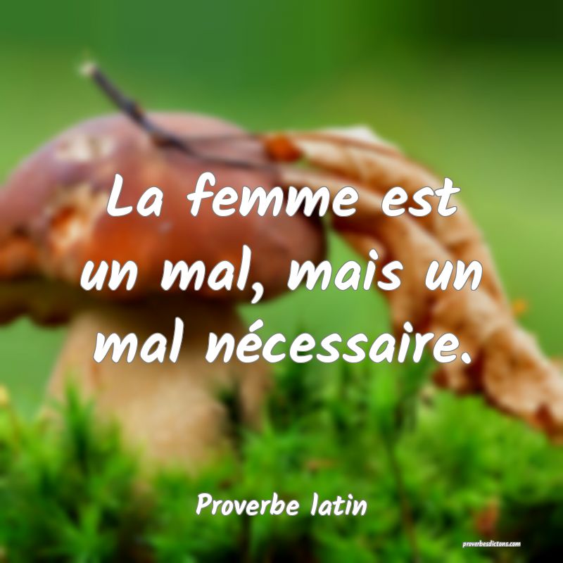 La femme est un mal, mais un mal nécessaire.