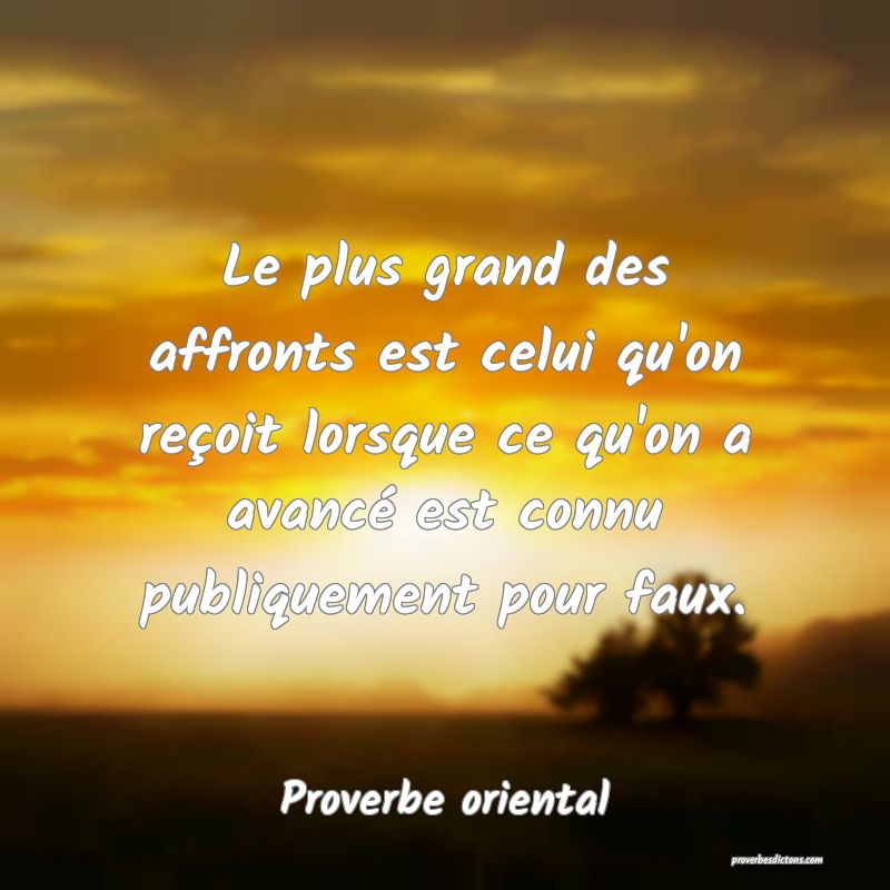 Le plus grand des affronts est celui qu'on reçoit lorsque ce qu'on a avancé est connu publiquement pour faux.