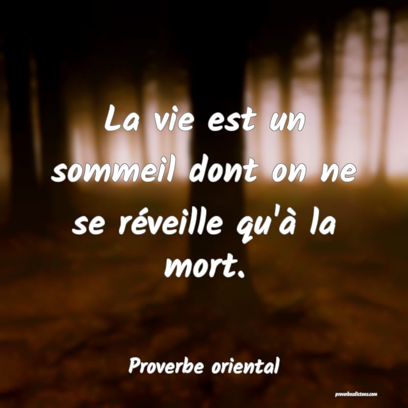 La vie est un sommeil dont on ne se réveille qu'à la mort.