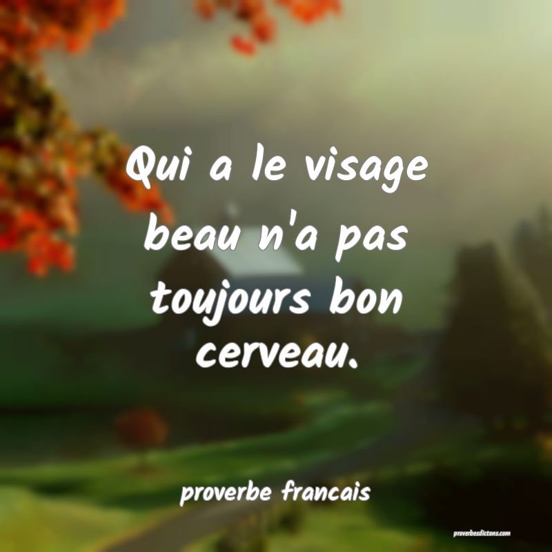 Qui a le visage beau n'a pas toujours bon cerveau.