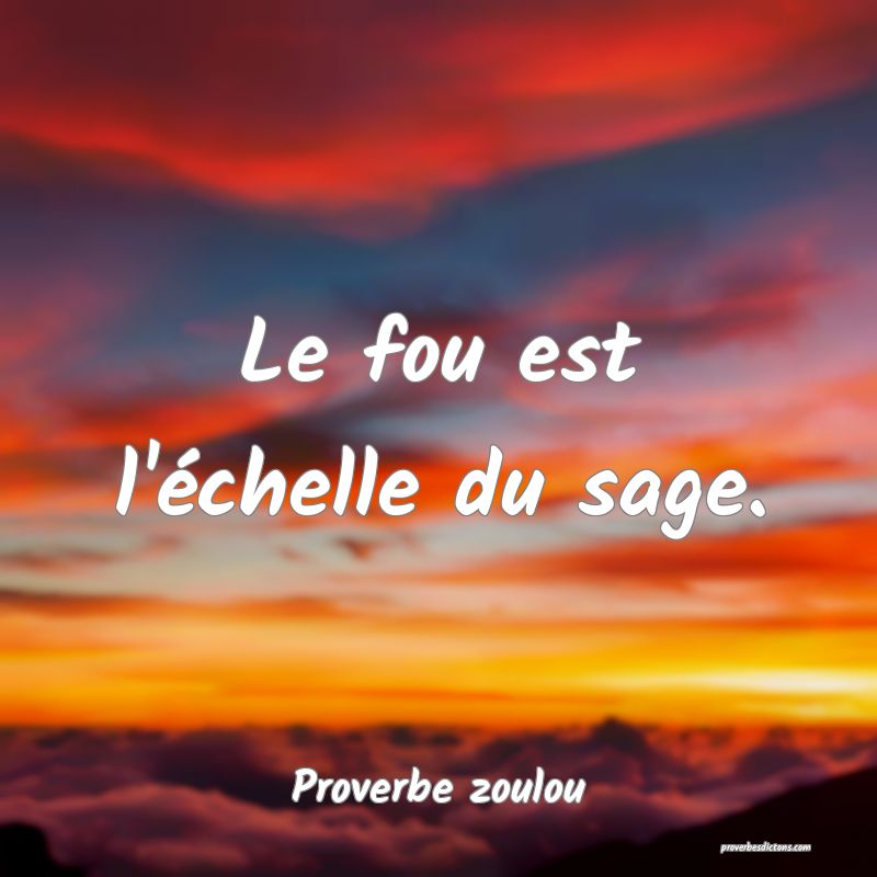 Le fou est l'échelle du sage.