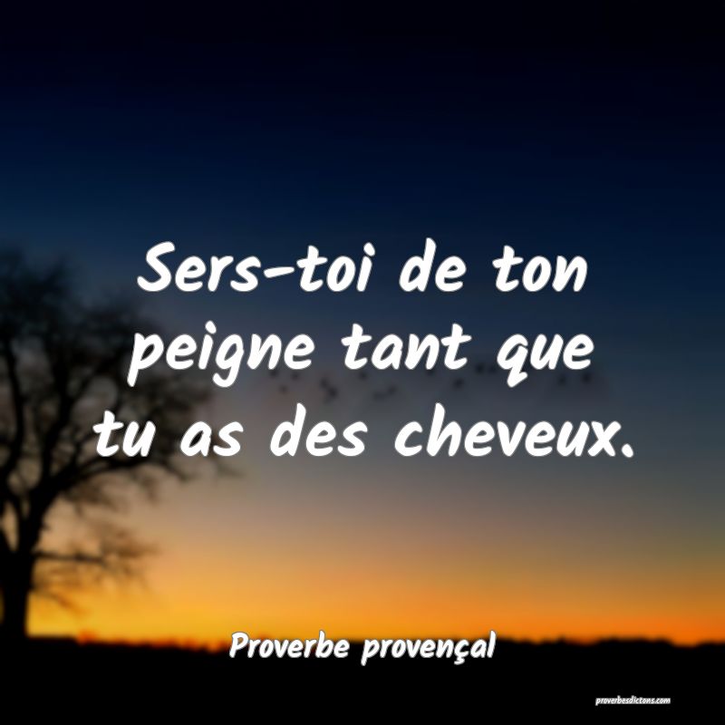 Sers-toi de ton peigne tant que tu as des cheveux.
