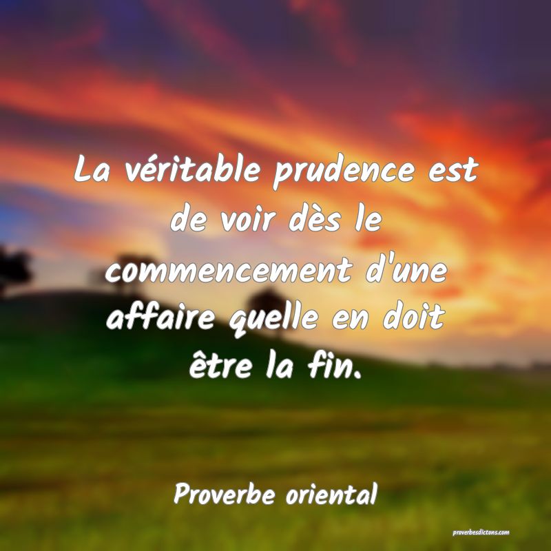 La véritable prudence est de voir dès le commencement d'une affaire quelle en doit être la fin.