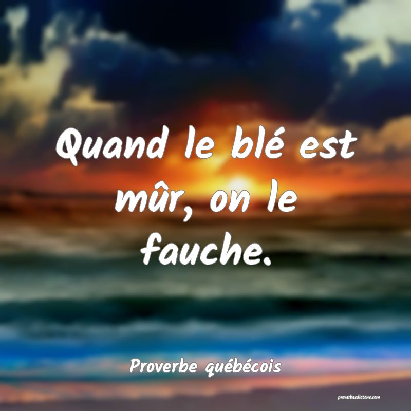  Quand le blé est mûr, on le fauche.