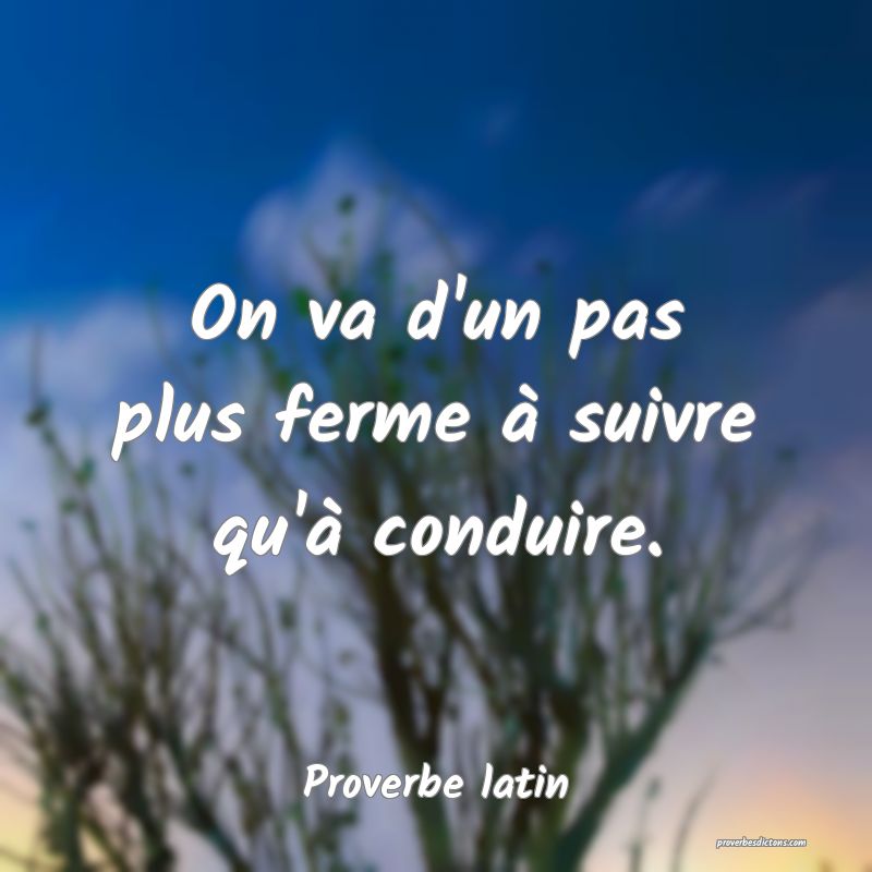 On va d'un pas plus ferme à suivre qu'à conduire.