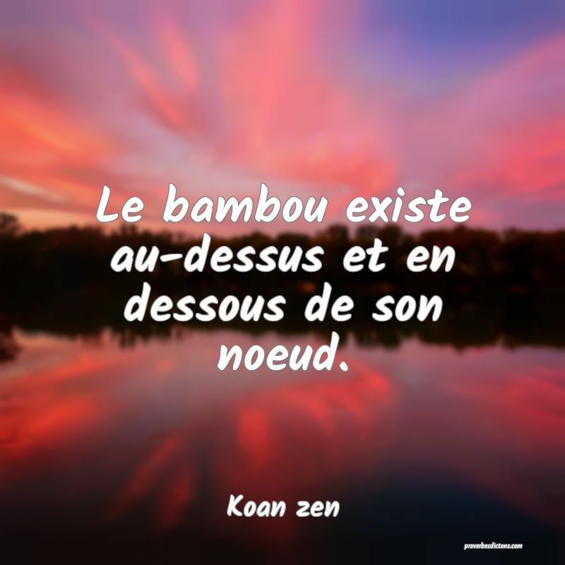 Le bambou existe au-dessus et en dessous de son noeud.