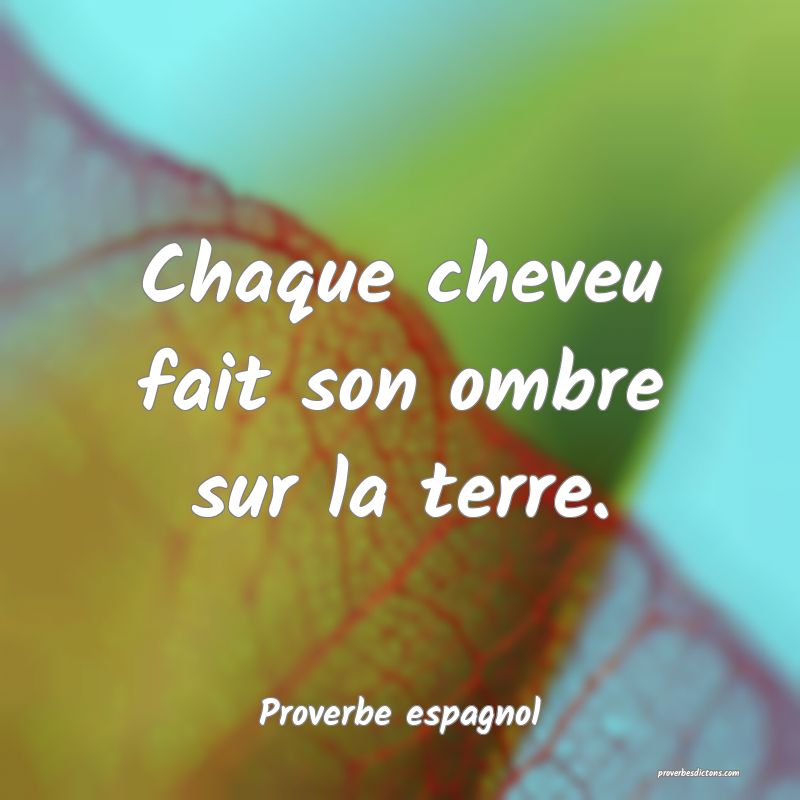 Chaque cheveu fait son ombre sur la terre.