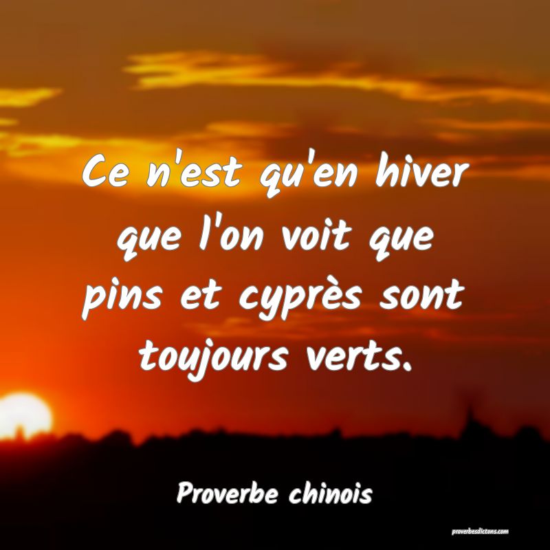 Ce n'est qu'en hiver que l'on voit que pins et cyprès sont toujours verts.