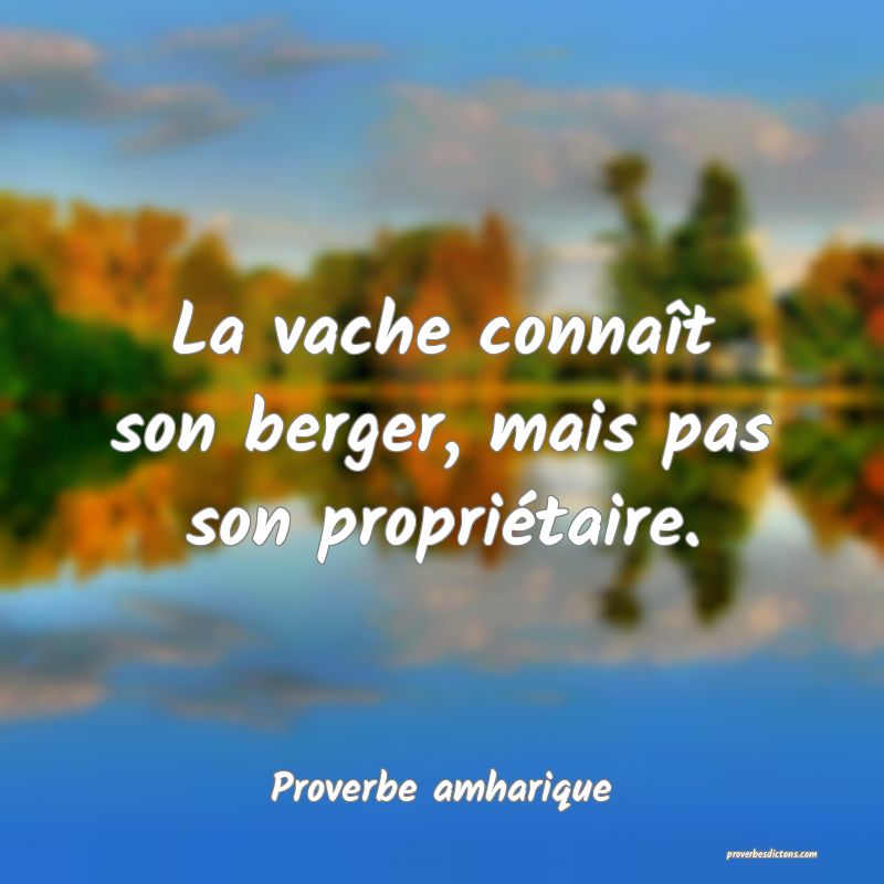 La vache connaît son berger, mais pas son propriétaire.