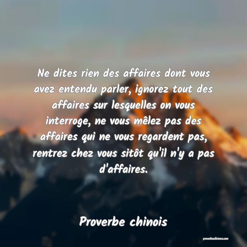 Ne dites rien des affaires dont vous avez entendu parler, ignorez tout des affaires sur lesquelles on vous interroge, ne vous mêlez pas des affaires qui ne vous regardent pas, rentrez chez vous sitôt qu'il n'y a pas d'affaires.