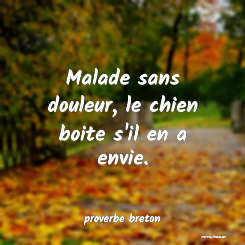  Malade sans douleur, le chien boite s'il en a envie.