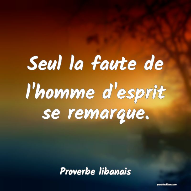 Seul la faute de l'homme d'esprit se remarque.
