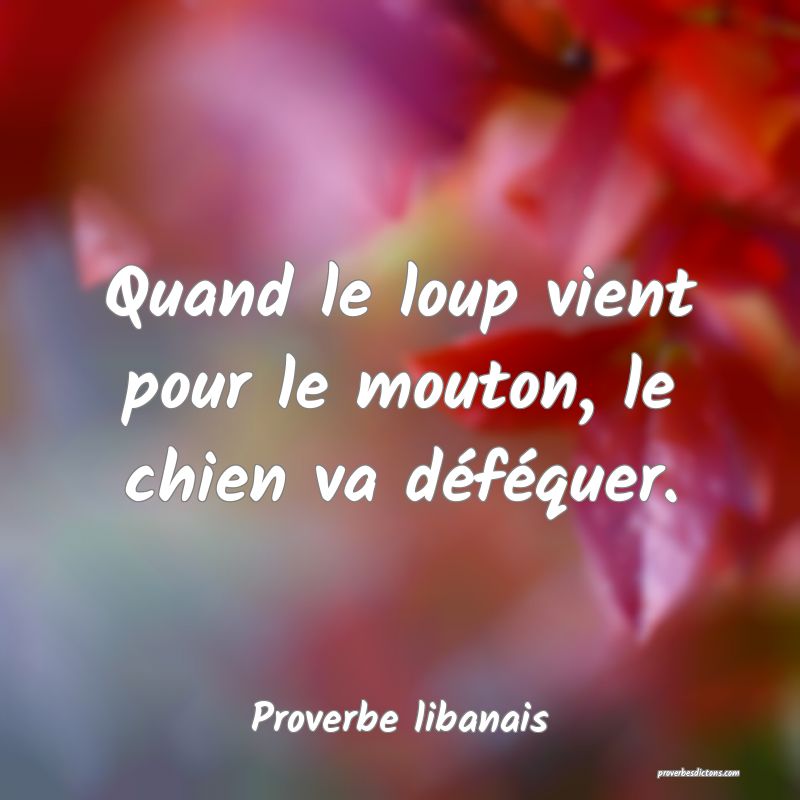Quand le loup vient pour le mouton, le chien va déféquer.
