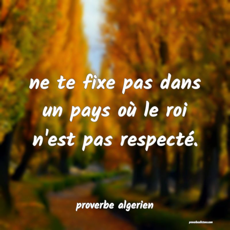 ne te fixe pas dans un pays où le roi n'est pas respecté.