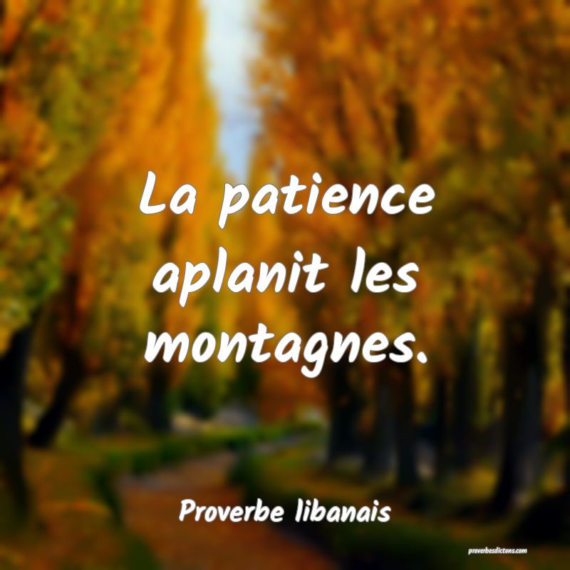 La patience aplanit les montagnes.
