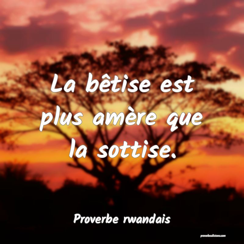 La bêtise est plus amère que la sottise.
