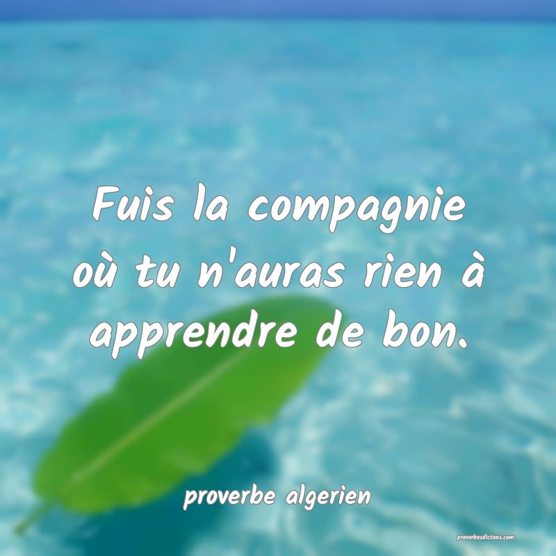  Fuis la compagnie où tu n'auras rien à apprendre de bon.
