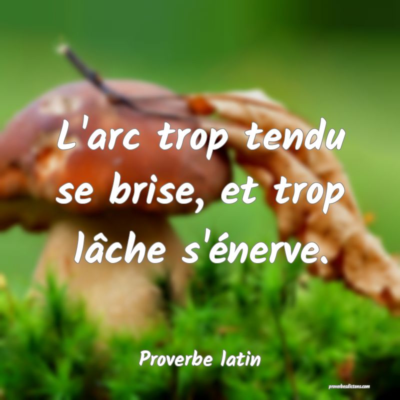 L'arc trop tendu se brise, et trop lâche s'énerve.
