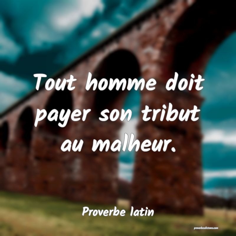Tout homme doit payer son tribut au malheur.
