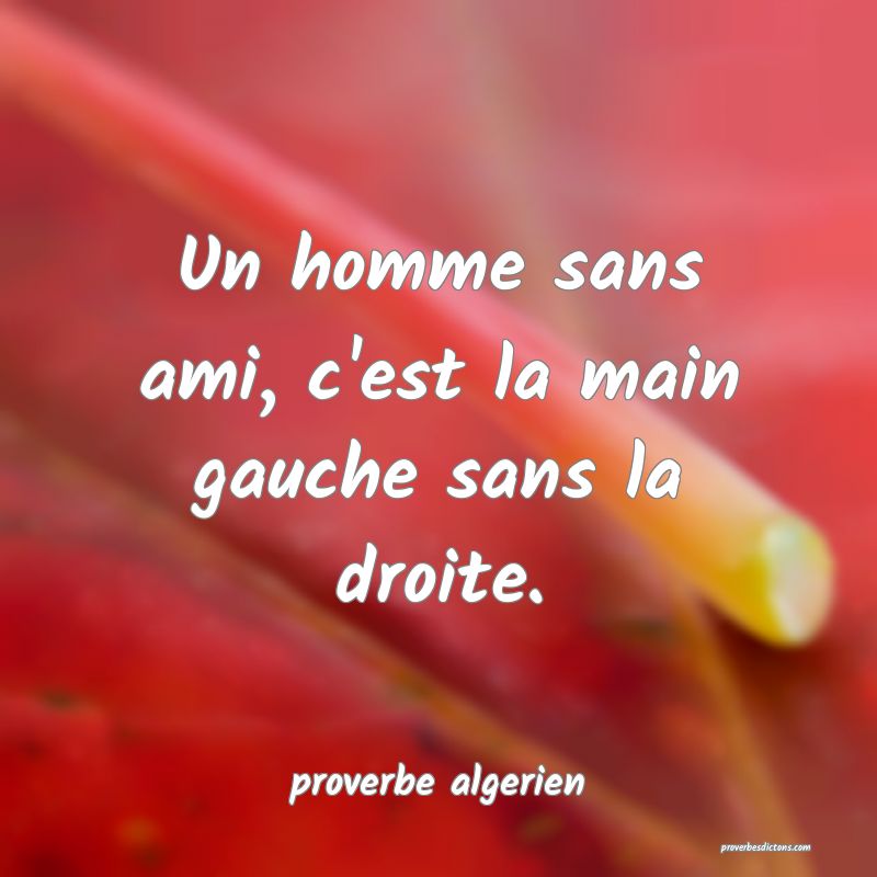  Un homme sans ami, c'est la main gauche sans la droite.