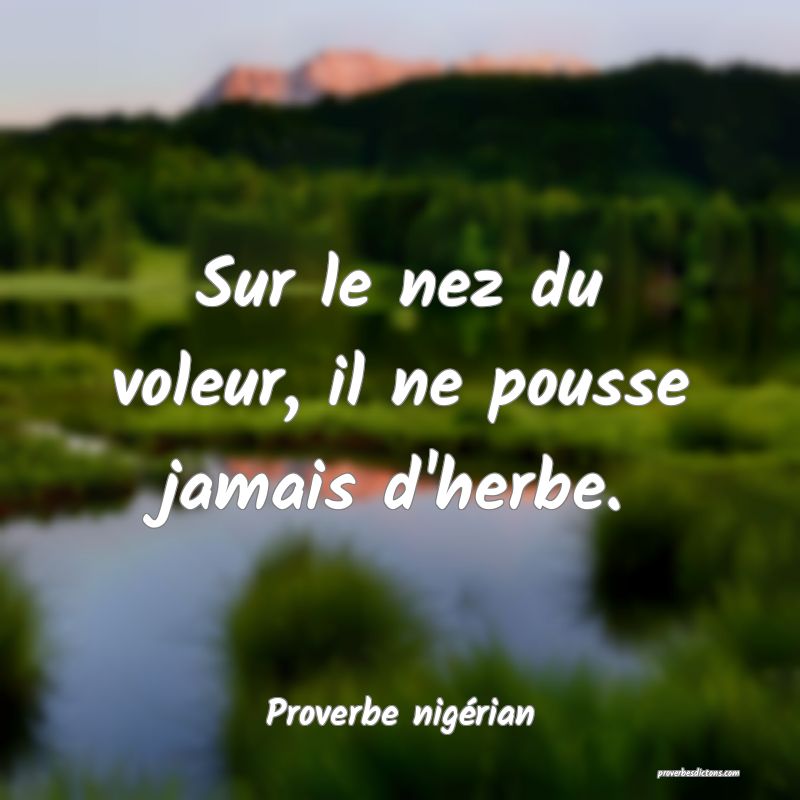Sur le nez du voleur, il ne pousse jamais d'herbe.
