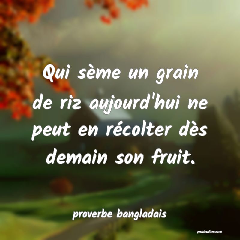 Qui sème un grain de riz aujourd'hui ne peut en récolter dès demain son fruit.
