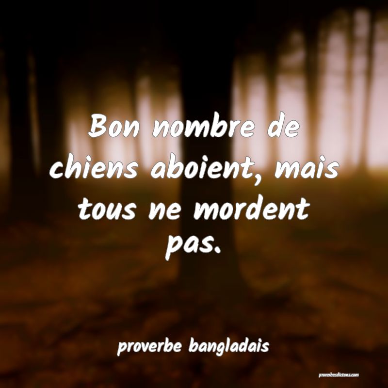 Bon nombre de chiens aboient, mais tous ne mordent pas.
