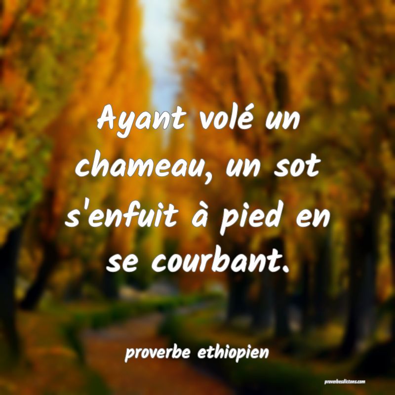 Ayant volé un chameau, un sot s'enfuit à pied en se courbant.
