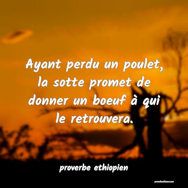 Ayant perdu un poulet, la sotte promet de donner un boeuf à qui le retrouvera.
