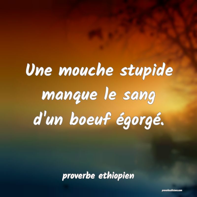 Une mouche stupide manque le sang d'un boeuf égorgé.
