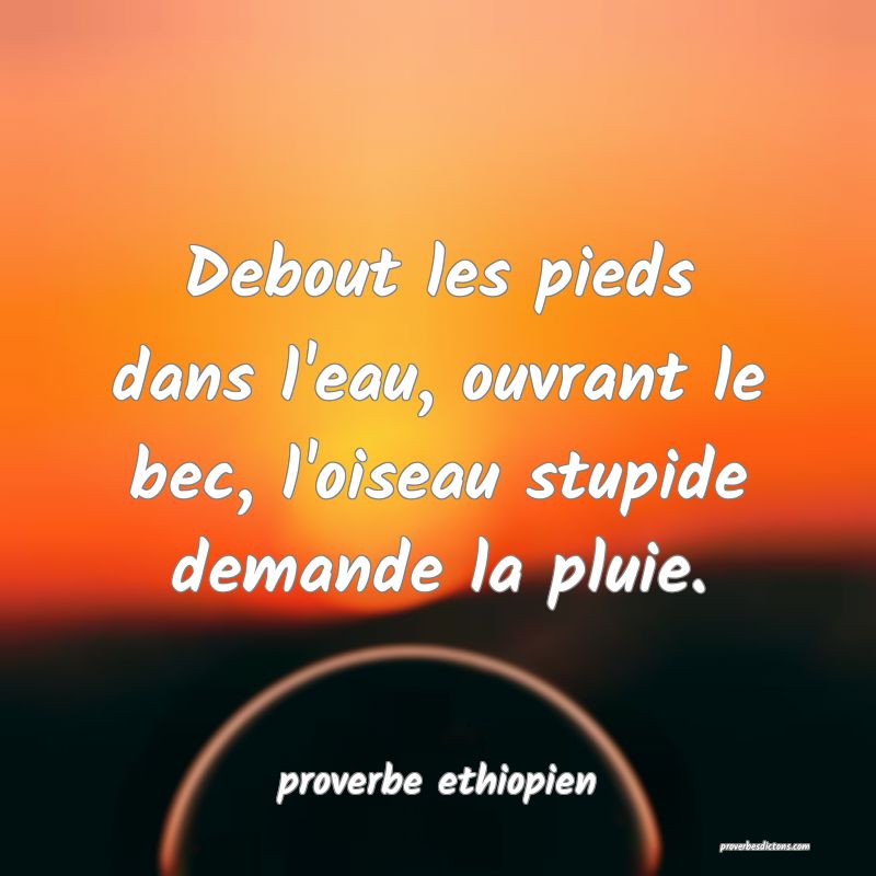 Debout les pieds dans l'eau, ouvrant le bec, l'oiseau stupide demande la pluie.

