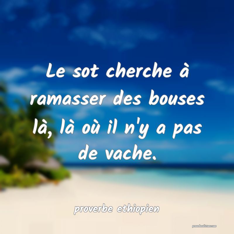 Le sot cherche à ramasser des bouses là, là où il n'y a pas de vache.
