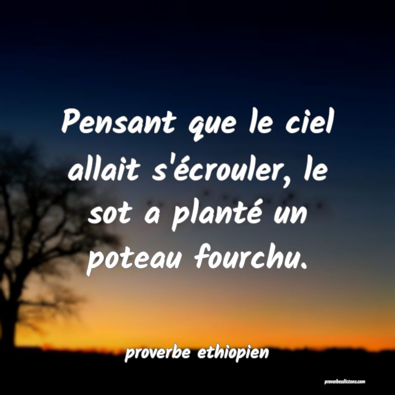 Pensant que le ciel allait s'écrouler, le sot a planté un poteau fourchu.
