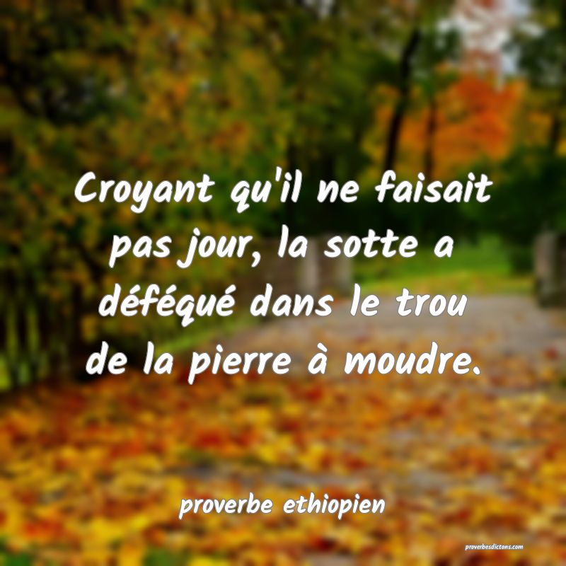 Croyant qu'il ne faisait pas jour, la sotte a déféqué dans le trou de la pierre à moudre.
